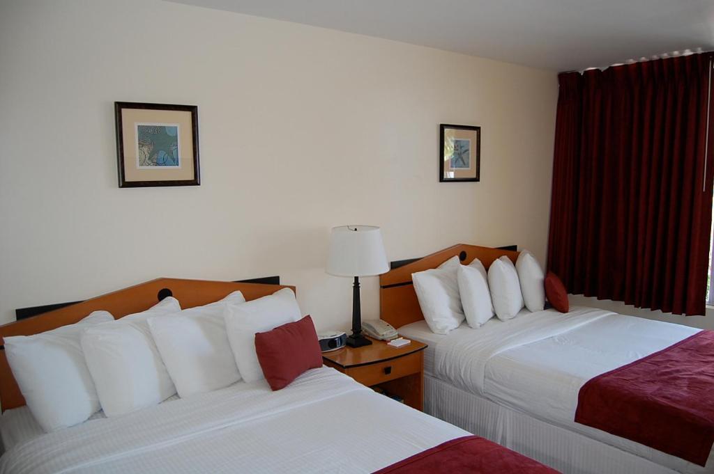 Alcazar Resort- Gay Mens Resort Fort Lauderdale Room photo