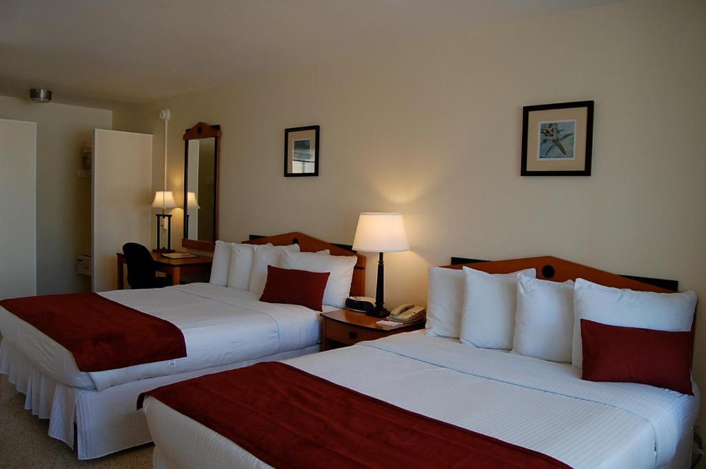 Alcazar Resort- Gay Mens Resort Fort Lauderdale Room photo